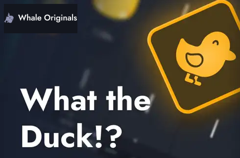 What the Duck!?